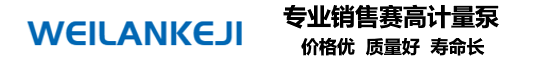 蔚岚计量泵